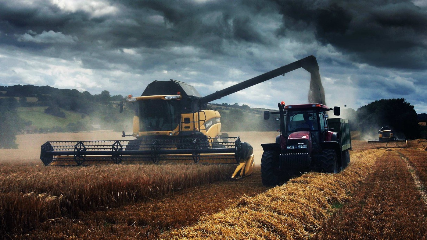 Scotland’s GM crop ban defies science, economics, and common sense