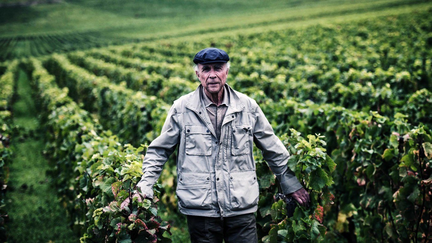 Why in Burgundy the wine growers have never had it so good