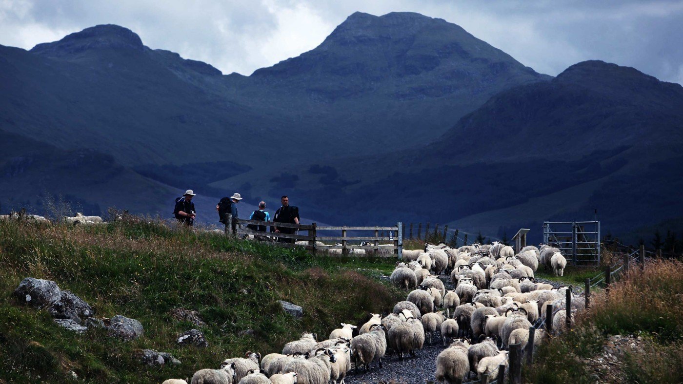 SNP makes war on Scottish countryside