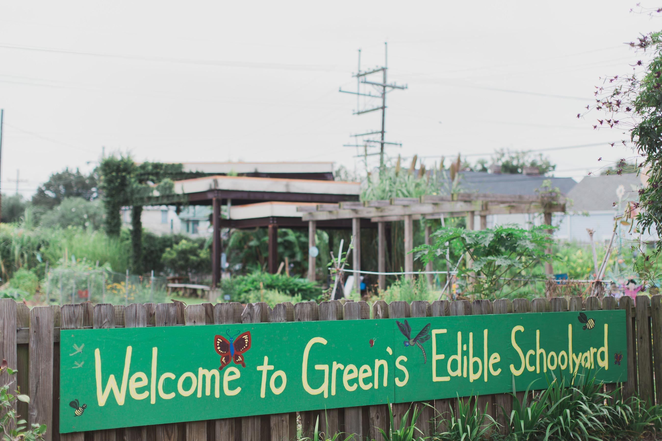 Green 2015-9823