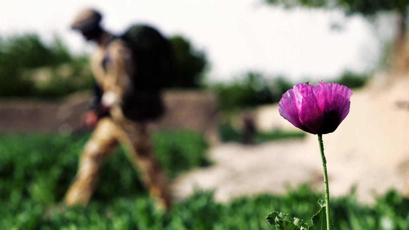 Losing hearts and minds – the failed drug war in Afghanistan