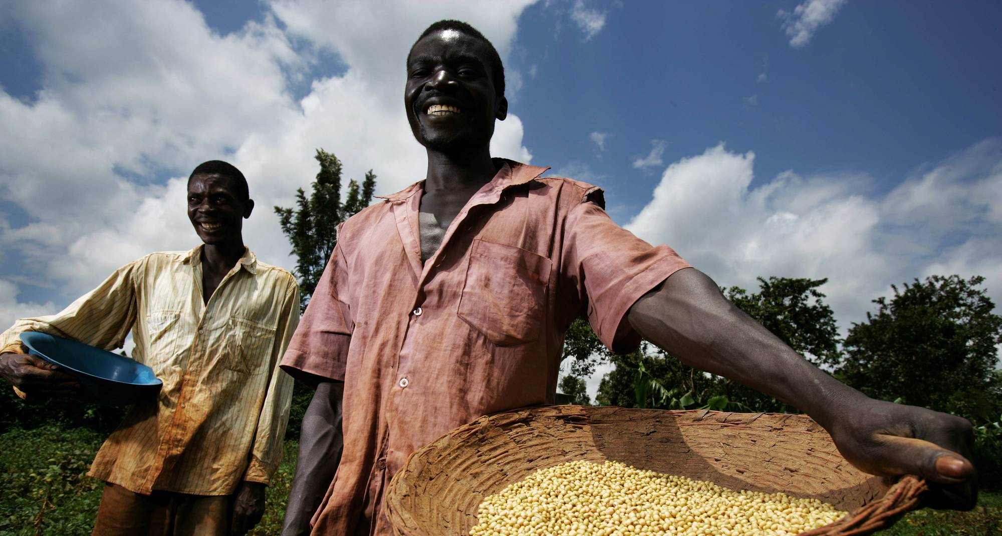 Экономическое развитие нигера. Сельское хозяйство Африки мали. Замбия сельское хозяйство. Сельское хозяйство Нигерии. Экономика Африки.