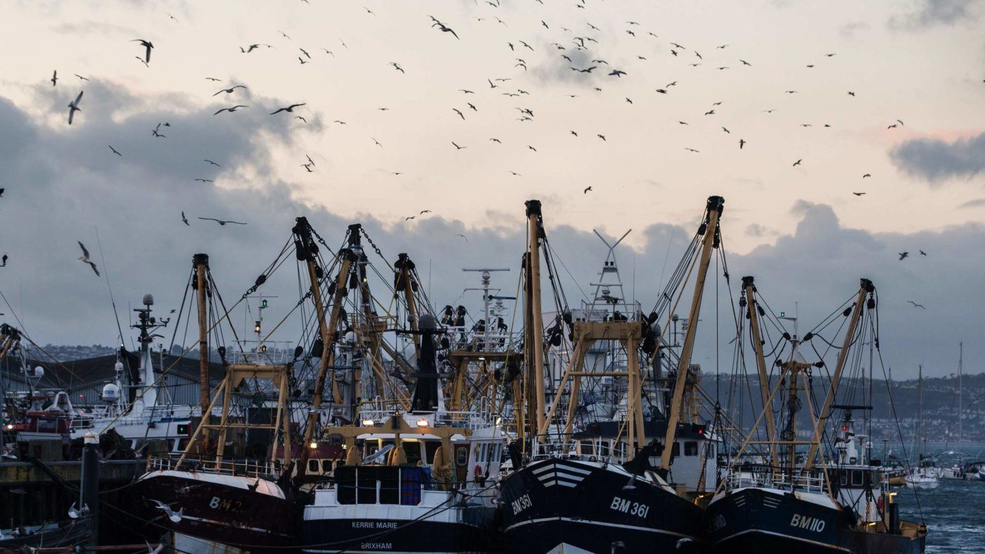 Will the Government ensure that Brexit is the fisherman’s friend?