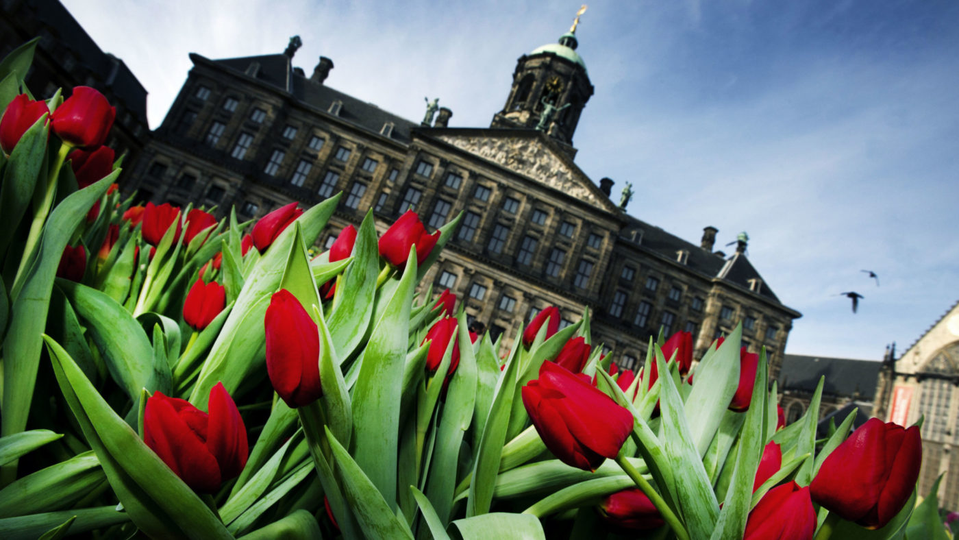 Tulip mania: the story of the original financial bubble is mostly wrong