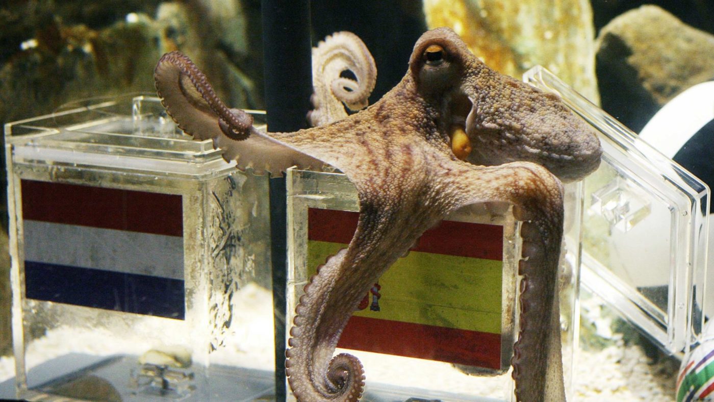 It’s time to put Paul the Octopus on the barbecue