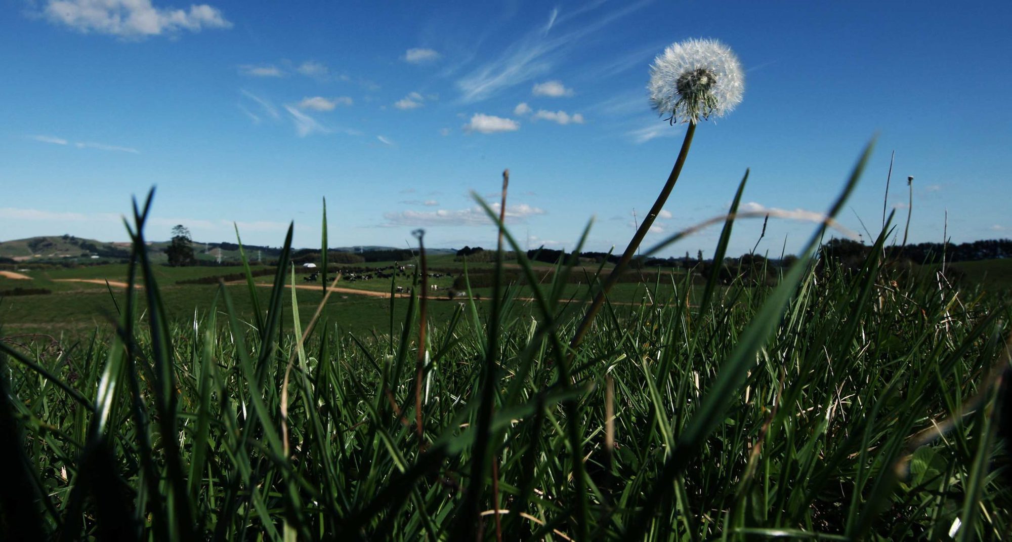 good-news-the-green-belt-is-shrinking-capx