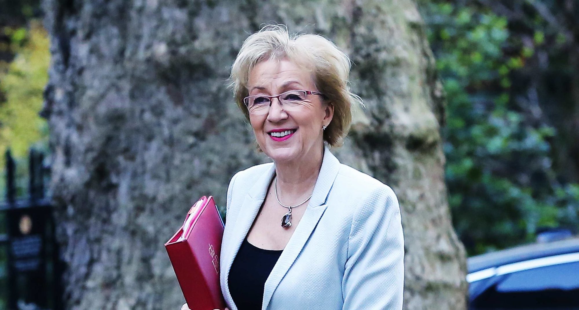 Why I M Backing Andrea Leadsom CapX   Leadsom 