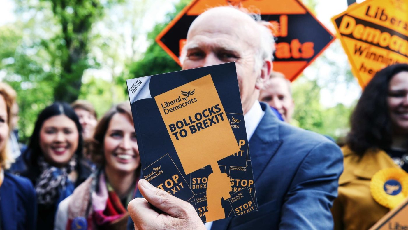 What’s the point of the Lib Dems after Brexit?