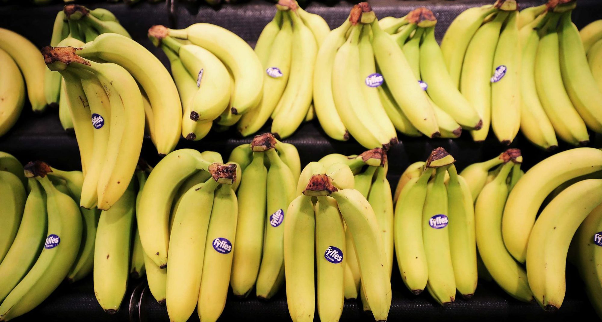 Why command economies are absolutely bananas CapX