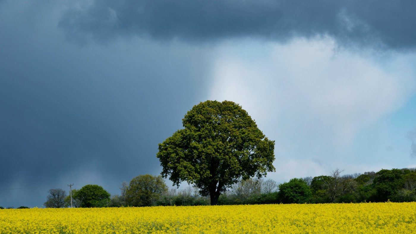 Does Britain face a gathering storm?