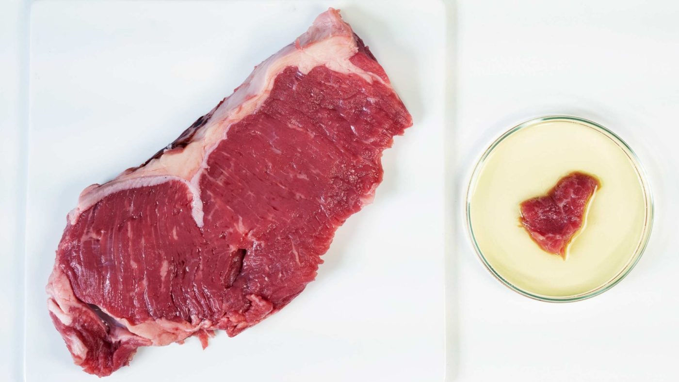 The steaks are high for lab-grown meat