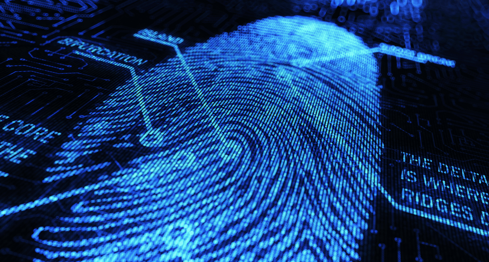 Digital fingerprint CapX digital-fingerprint-capx