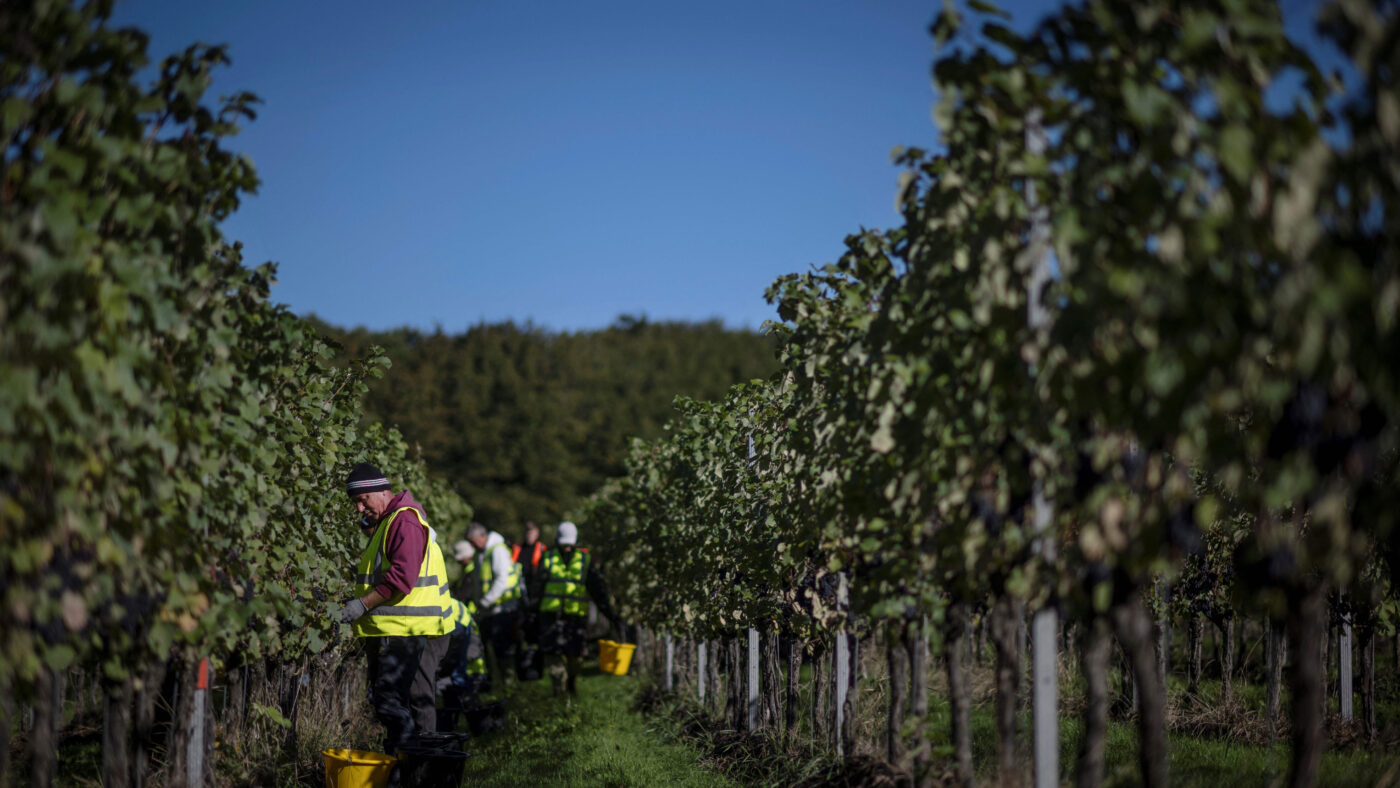 Picking your battles: can Britain really ‘train up’ legions of farm workers?