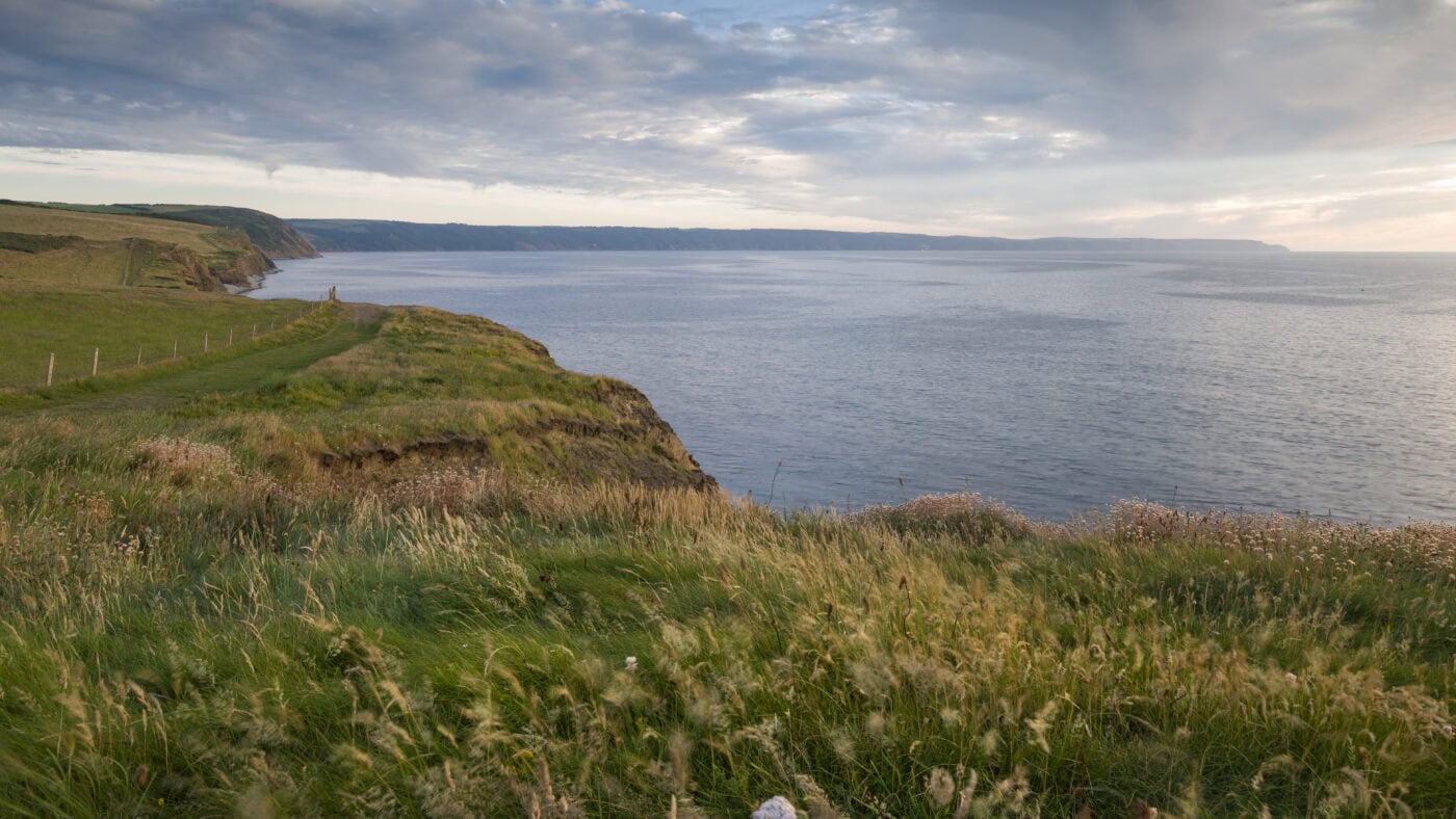 Nimby Watch: Who needs power in paradise?