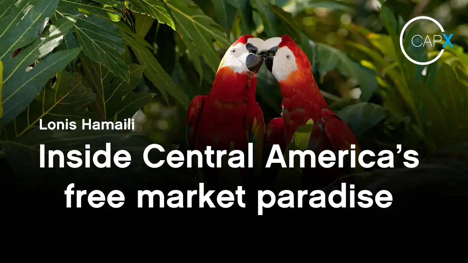 Inside Central America's Free Market Paradise