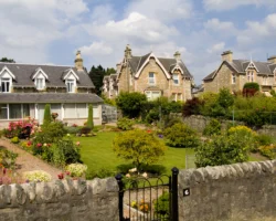 Biodiversity rules are strangling small house builders