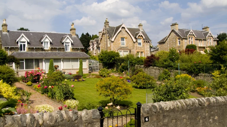 Biodiversity rules are strangling small house builders