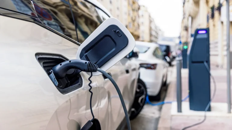 Don't force electric cars on drivers – cut taxes instead