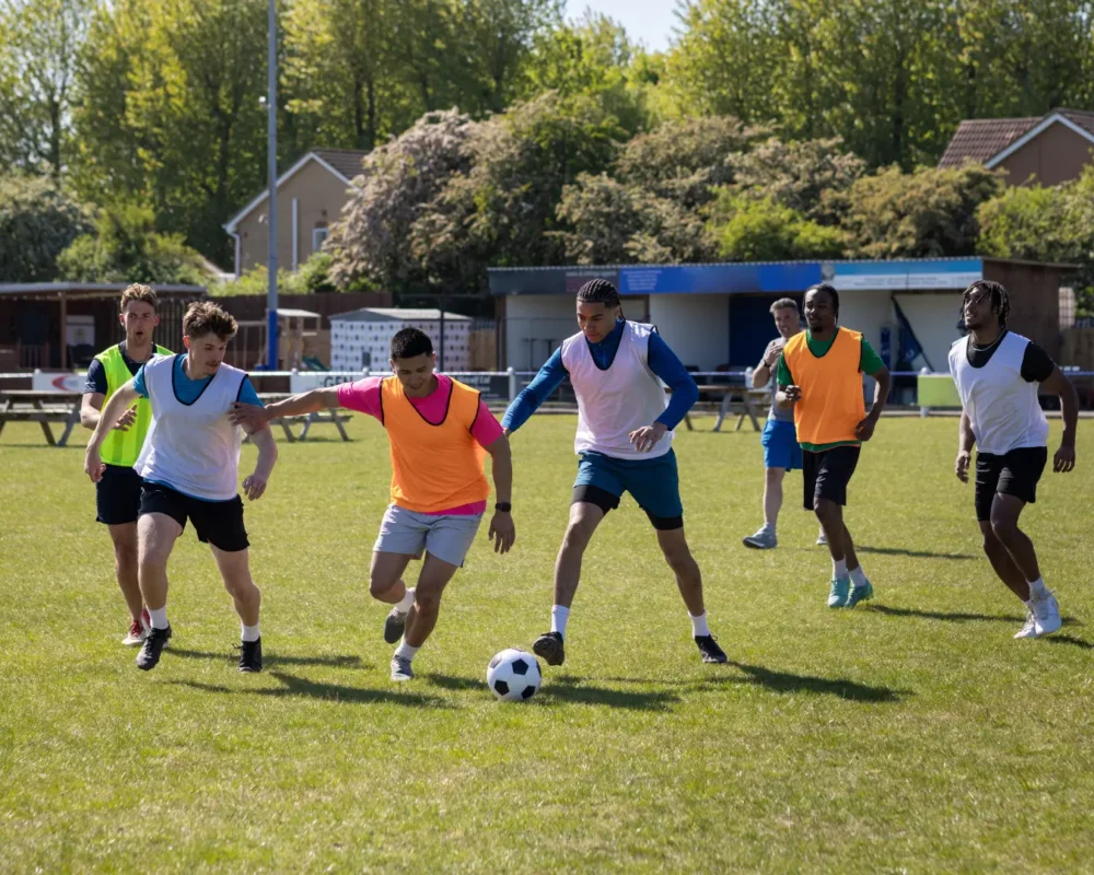 Is a football pitch Hendon's last pristine wilderness?