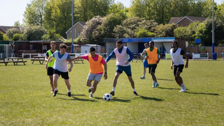 Is a football pitch Hendon's last pristine wilderness?