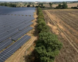 The countryside lobby's war on batteries